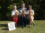 BABC November 2005 International Dog Show : 